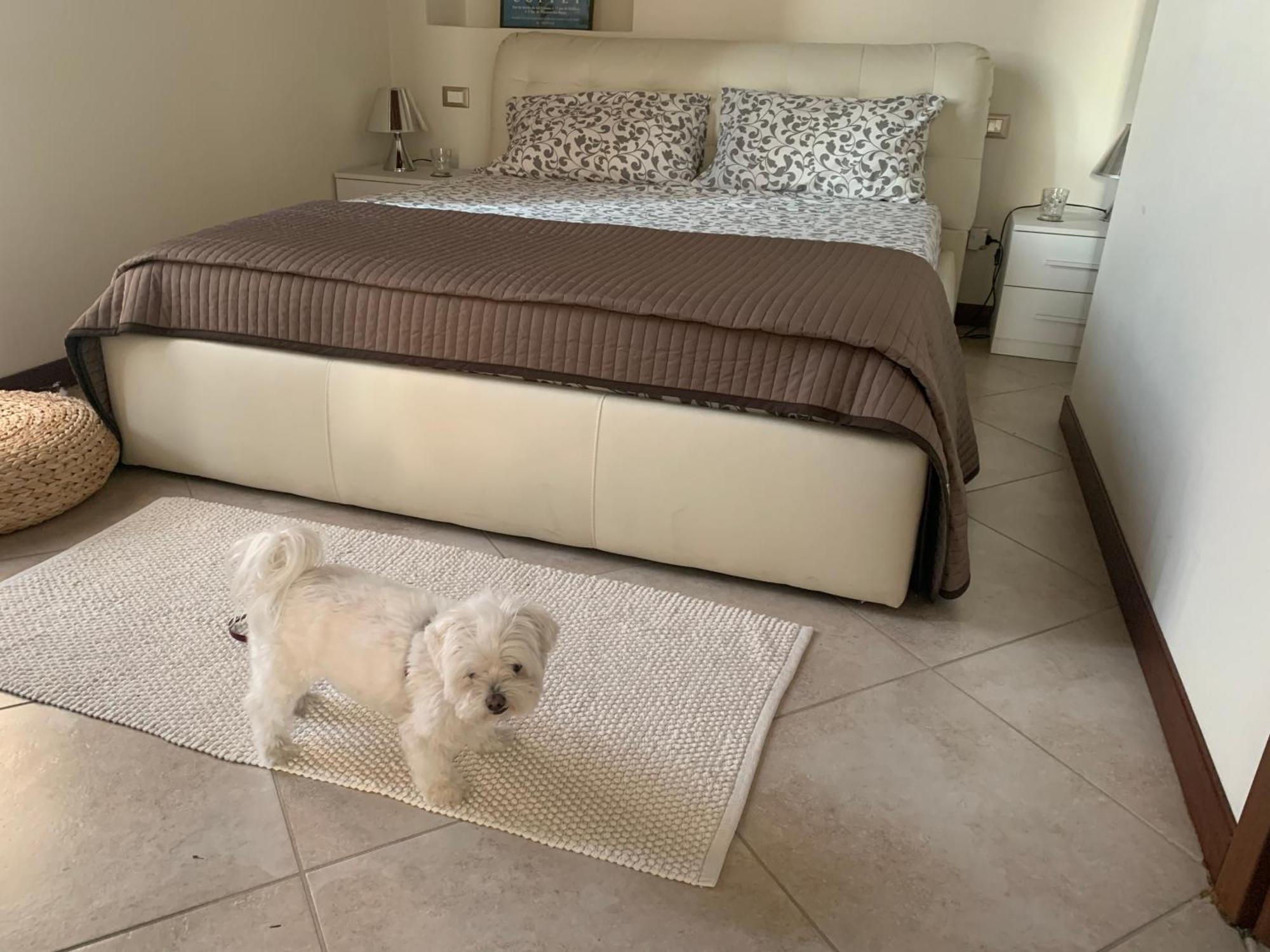 Arona Prestige Apartments מראה חיצוני תמונה